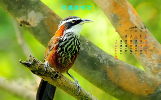 484639 (a): :1920x1200